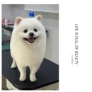 하이얀미용실 이미지