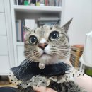 진성하나마트 이미지