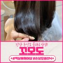 박정현헤어샵 | 역삼동 손상모 클리닉은 꼬모도에서!!!(대만족 후기)