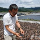 남선염업주식회사