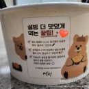 설빙속초점