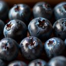 The best puppy 이미지