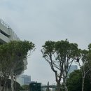306버거 이미지