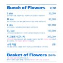 디그먼트