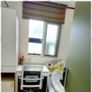 달빛하우스 이미지