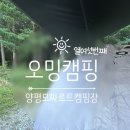 숲속에매점 이미지