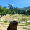 은사목장 이미지