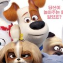 마이펫의 이중생활 이미지