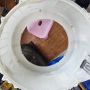 젤미세탁 | 김해장유세탁기청소/장유젤미푸르지오삼성드럼세탁기처음청소해요!