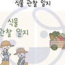 아기자기BIJOU 이미지