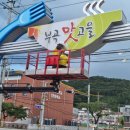 호암천 이미지