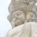 삼은사 이미지