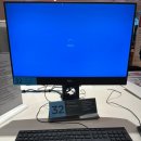 천보수산 | 시드니 Day 3 _ 세인트 메리 대성당, 뉴사우스웨일스 주립 도서관, 본다이비치, 아사이볼, 패디스마켓...