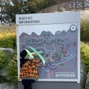 용인자연휴양림에 위치한 에코어드벤쳐 &amp; 오감의숲 어린이 놀이시설 이용후기