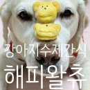 해피왈츄 이미지