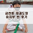 경희대미션태권도장 | 금천동 태권도장 유치부 찐 후기