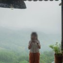 F86 | 2025.7.26. 도이창 커피 여행(인드라이브 택시 투어), 치앙라이경찰서에서 폴리스리포트, 잃어버린...