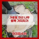반월동주민센터 | 수유 가로등 고압전선 나무 벌목 전지작업