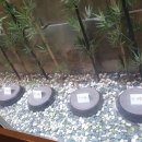 남포면옥 이미지