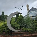 제주허브동산 이미지