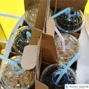 척강한의원 이미지