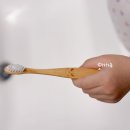 닥터노아치과의원 | 플라스틱 칫솔 NO, 닥터노아 대나무 유아칫솔 아기치약 추천