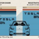 차트: Tesla의 타의 추종을 불허하는 이익 마진 이미지