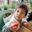 대겸농장 네이버블로그