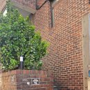 타임 | 영등포역 스터디카페 찾는다면 혼공하기 좋은 영등포 스터디카페 타임 후기