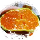 정숙 농장 이미지