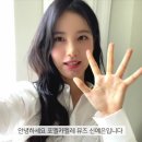 포멜카멜레 영상 [예은's V LOG] 이미지