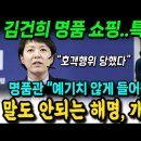 김건희 명품 쇼핑..특활비? 김은혜 해명, 개박살! "호객행위 당했다" 명품관 "예기치 않게 들어왔다" 이미지