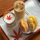 ㅣ단풍도넛ㅣ고석정꽃밭ㅣ화천랜드ㅣ제이쿠치나ㅣ원천상회ㅣ강아지숲 반려동물문화축제ㅣ명가춘천닭갈비...