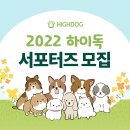 하이독 이미지