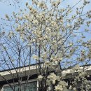 ♤행복걷기2&amp;서울둘레길 스템프찍기♤120ㅡ1 이미지
