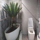 패밀리파크빌리지 이미지