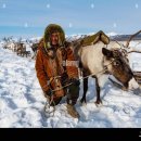 P.Saina singer evenk song Oronchican(Baby deer).mp3 이미지