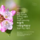 들풀 이미지