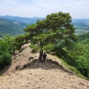 백두대간 흑염소 청계농장 | 포천의 숨은 명산 종자산...군포격장으로 쓰다가 지금은 이국적인 풍경으로 유명해진 그곳...포천종자산...