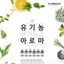 바자Bazar 이미지