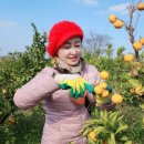 정진수농장 이미지