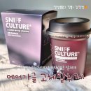 컵컬쳐 | 집냄새제거 고민 끝! 스니프컬쳐 에어가글 고체탈취제 사용후기