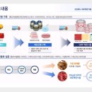 자유푸드식품