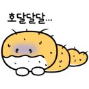 카페드루앙