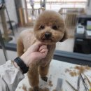 주안5동 행정복지센터 이미지