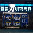 젠틀카외형복원 이미지