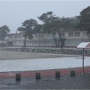 서상중고등학교 이미지