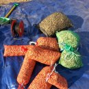 땅콩민박 이미지