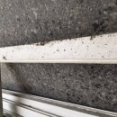 정하리버하임 이미지