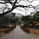 대율초등학교 이미지